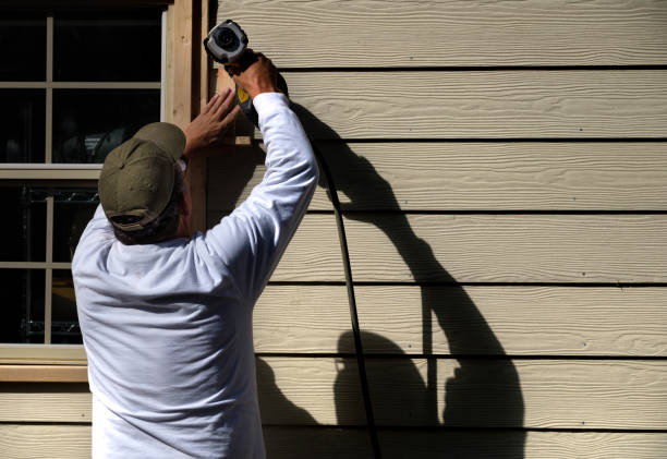 Best Steel Siding Installation  in Meridian Village, CO