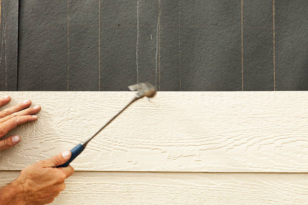 Best Vinyl Siding Installation  in Meridian Village, CO
